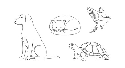 Line drawing of a dog cat bird and turtle in black and white style