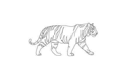 Illustration of a tiger walking with detailed line art and stripes