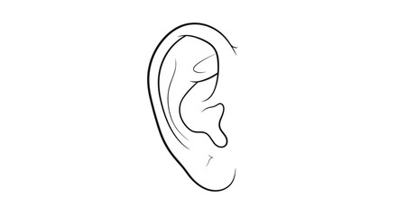 Illustration of a human ear showing the anatomical structure lineart