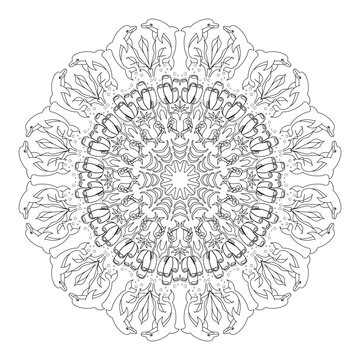 Sea Life Mandala - Dolphin- Codium fragile- Intricate Coloring Page for Adults & Teens 3 Sea Life Mandala Collection