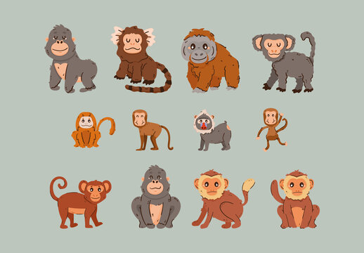 Colorful Monkey Jungle Cartoon Animal Characters Illustrations Set