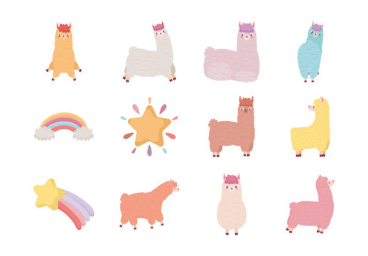 Colorful Llama Rainbow Cute Llama Animal Illustrations Set