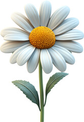 daisy flower 3d