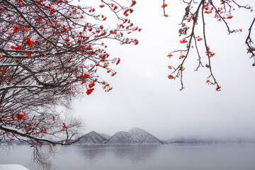 Fototapete bei efototapeten.de bestellen   