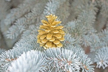 Christmas Background - Pinecone Beauty Series