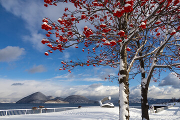 Fototapete bei efototapeten.de bestellen   