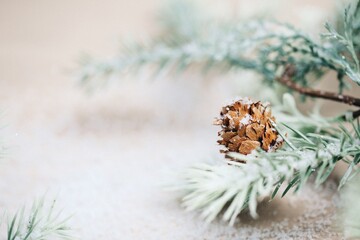 Christmas Background - Pinecone Beauty Series