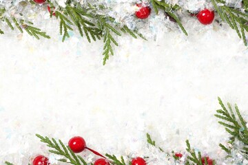 christmas background with fir branches and berries
