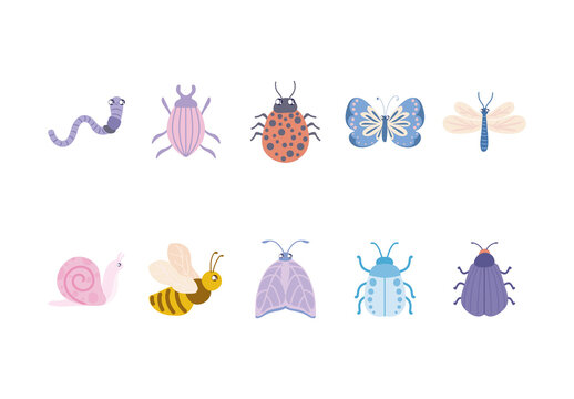 Colorful Bugs Insects Cute Illustrations Set