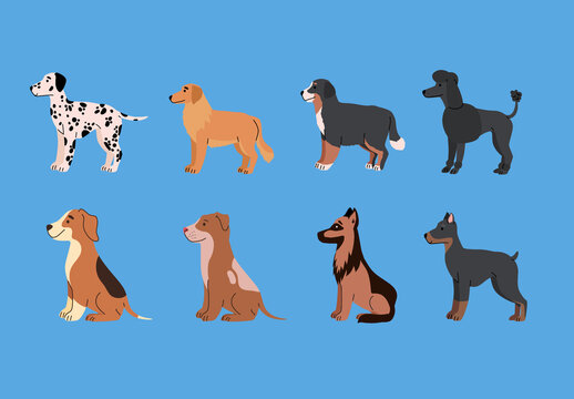 Colorful Dog Breed Domestic Pet Animal Illustrations Set