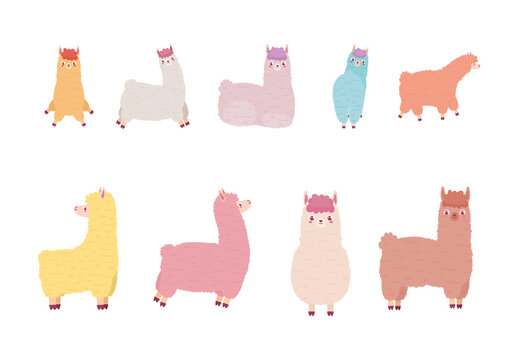 Colorful Llama Cute Cartoon Animal Alpaca Illustrations Set