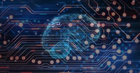 Data pulse starting, holo brain rotating while nodes lighting and traces glowing showing data flow - Powered by Adobe
