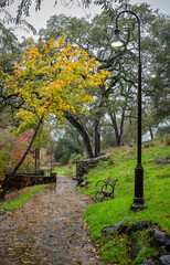 Naklejka premium Vertical atmospheric photo of quiet park scene with autumn yellow leaves in the rain with trees, walkway, rocks, bench and lightpost in Auburn, California, U.S.A.