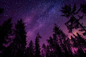 Starry Night Sky Over Silhouetted Trees with a Purple and Pink Nebula and Countless Stars on a Dark Background during Twilight
