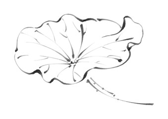 Minimalist Ink Wash Lotus Leaf Illustration