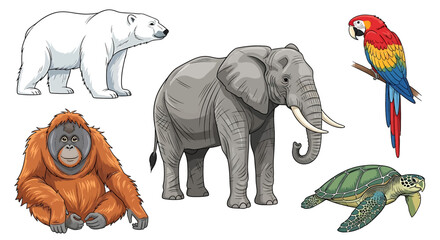 A collection of detailed illustrations featuring various wild animals including a polar bear, elephant, macaw, orangutan, and sea turtle.