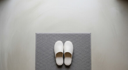 Top‑down still life of plain slippers and mat at a genkan