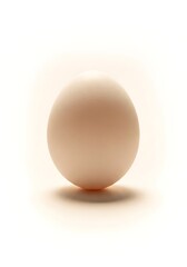Single White Egg on White Background with Soft Shadow.