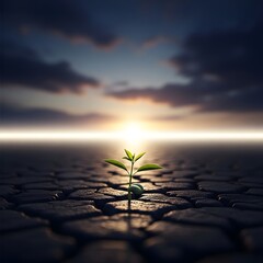 A small green plant with fresh leaves growing through cracked dry ground under a dramatic cloudy sky at sunrise or sunset