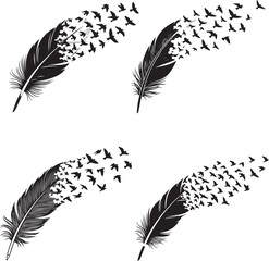 Feather to Birds Silhouettes – Minimalist Black & White Vector Icons of Transformation and Creative Liberation