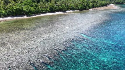 A beautiful fringing reef is found on the southern coast of Ambon, Indonesia. This region is known for its incredible marine biodiversity.
