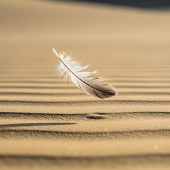 A solitary feather gently resting on rippled sand dunes under soft sunlight, creating a peaceful and minimalist desert landscape scene