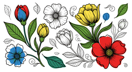 Collection of Hand-Drawn Flowers and Leaves.