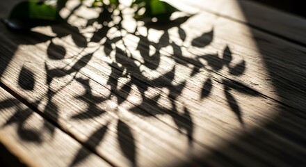A close-up of a shadow cast by a leafy plant on a wooden surface, creating intricate patterns with natural sunlight illuminating the scene