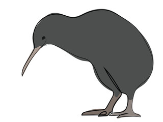 Kiwi bird in continuous line drawing style