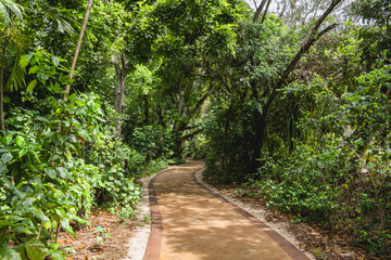 Path going through the forest of Green Island, Queensland, Australia
