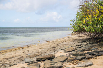Coast of Green Island, Queensland, Australia