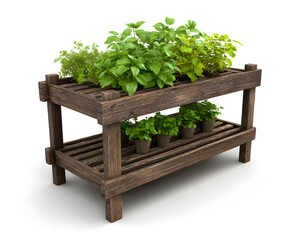 Rustic wooden rack displays healthy green plants on white background.