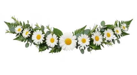 Delicate white daisy garland with greenery accents isolated on transparent background