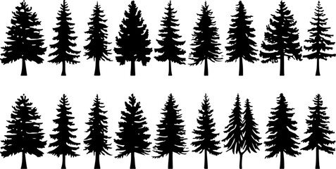 Obraz premium Tree Silhouettes Pine