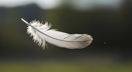 Close-up of a white feather floating in the air with a blurred natural background, illustrating lightness and delicacy in nature