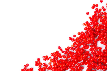 Fresh red viburnum berries on white background © Pixel-Shot