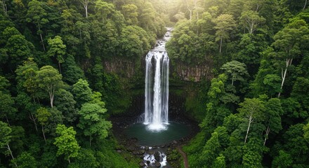Stunning aerial view of a majestic waterfall cascading into a tranquil pool amidst a lush, vibrant rainforest, bathed in soft, golden sunlight.
