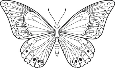PrintBeautiful butterfly line art, detailed insect illustration, black and white butterfly drawing, elegant wing pattern design, coloring page for adults and kids