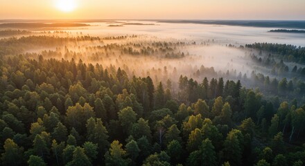 Sunrise casts golden light over a misty forest canopy, revealing rolling hills and a serene, tranquil natural landscape bathed in warm dawn hues.