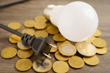 Cost of electric utilities with light bulb for payment.