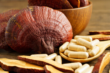 Lingzhi or Reishi mushroom with capsules, organic natural healthy food.