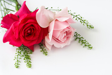Two reddish pink rose in the left upper corner, accented by green foliage on a clean white background. Ideal for Valentine's Day, wedding invitations, Mother's Day cards, and more.