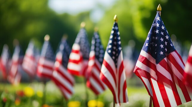 Many American flags are displayed in a row, set against a green lawn and trees, creating a patriotic and respectful scene.