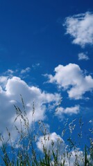 Celestial Rays of Powerful Harmony