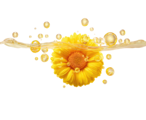 Calendula flower surrounded by golden bubbles in liquid