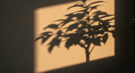 The silhouette of a leafy plant casting a distinct shadow on a warmtoned wall