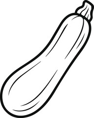 Zucchini line art vector illustration sketch. Simple vegetable outline icon isolated on white. Food ingredient gourd drawing symbol.