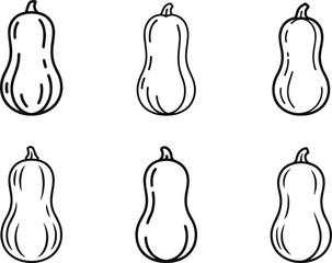 Butternut squash line art vector illustration collection. Set of simple vegetable outline icons sketch. Autumn gourd food ingredient drawing symbol