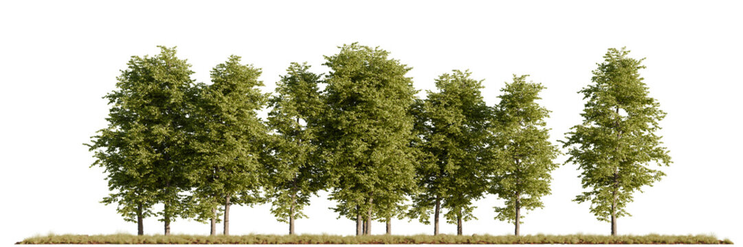 A dense group of realistic 3D rendered trees with vibrant foliage, isolated on a clean white background for architectural and aesthetic visualization