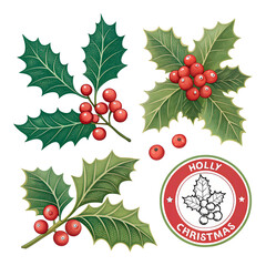 Holly berry icons set, Chritmas logo wirh holly berries
